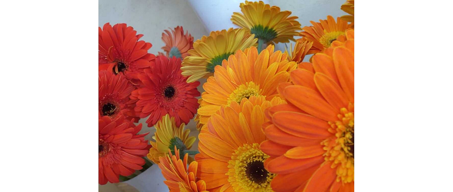 Flower bouquets